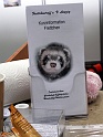 Heimtiermesse 2009   101